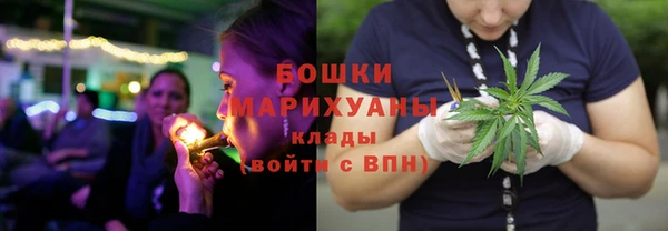 spice Арсеньев